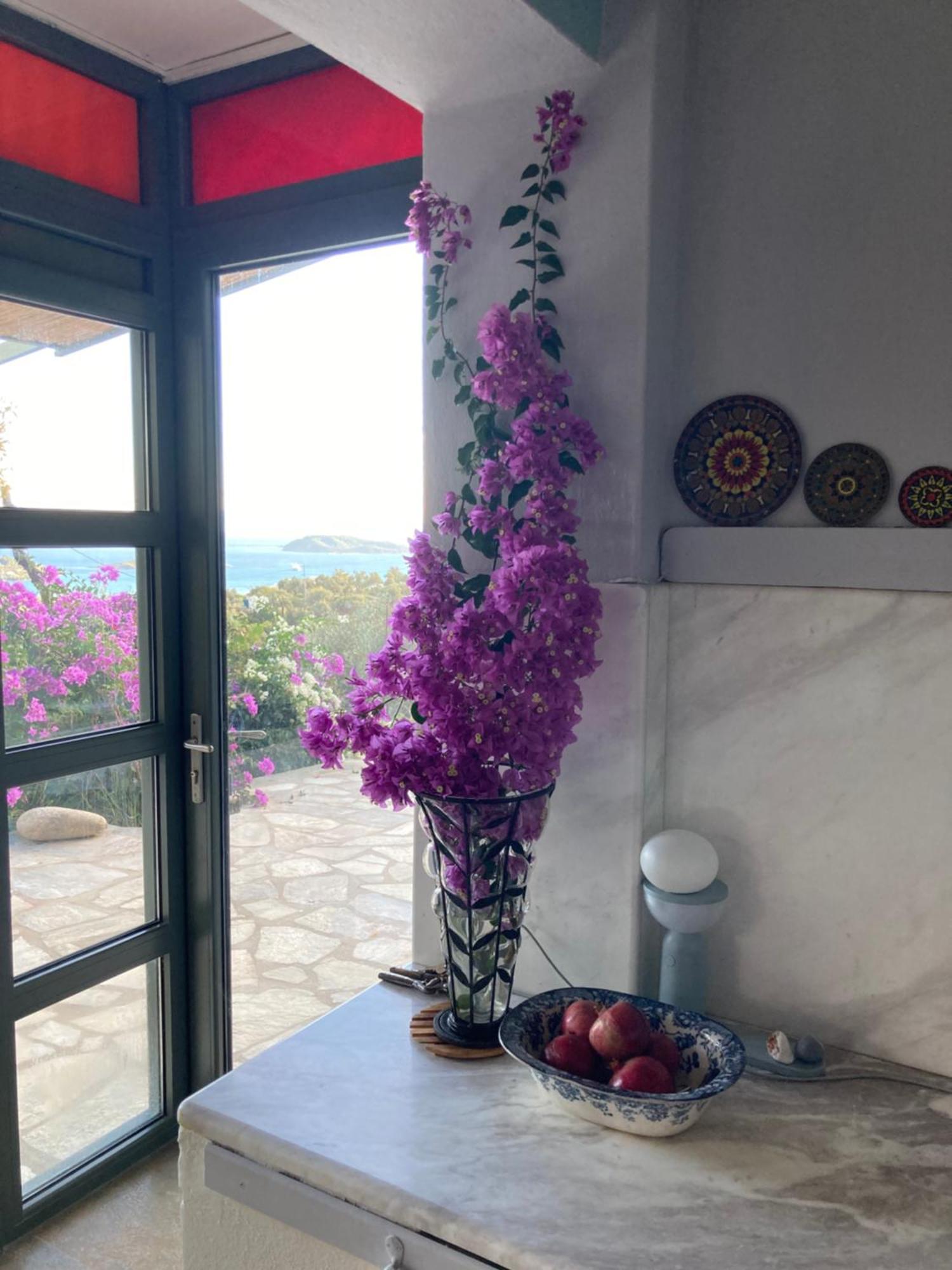 Tierra Villa Skiathos Town Luaran gambar