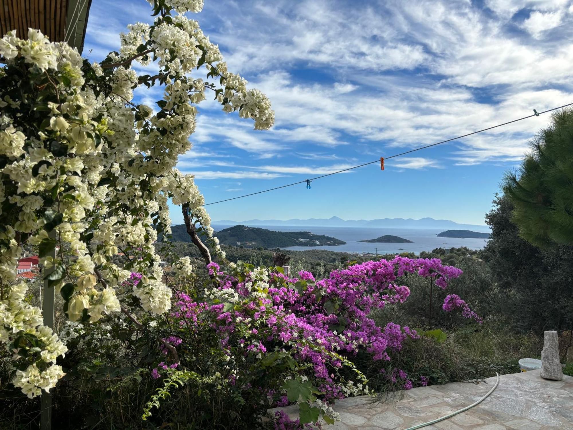 Tierra Villa Skiathos Town Luaran gambar