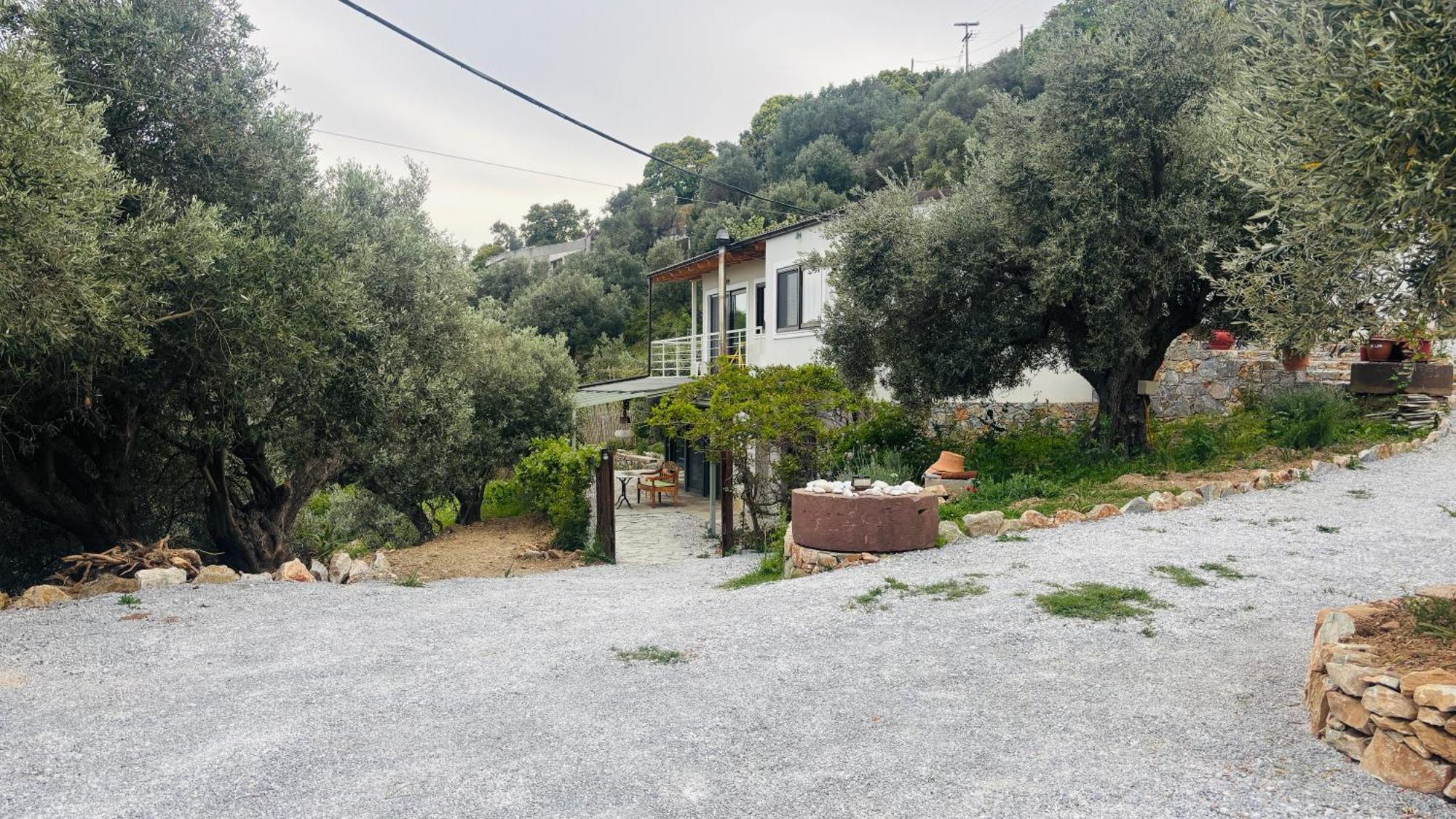 Tierra Villa Skiathos Town Luaran gambar